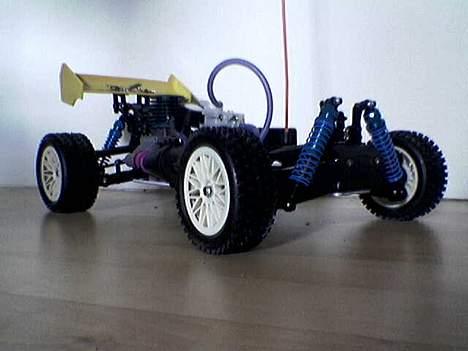 Buggy Condor pro billede 1