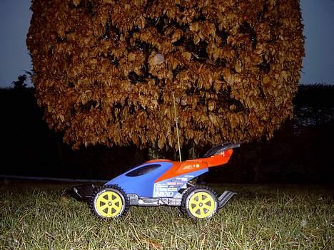 Buggy Nikko DØD billede 1