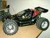 Buggy fg leopard