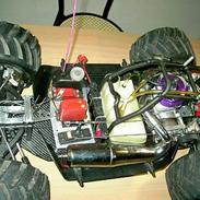 Buggy fg leopard