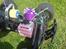 Truck HPI Savage 25 X Dogde Ram