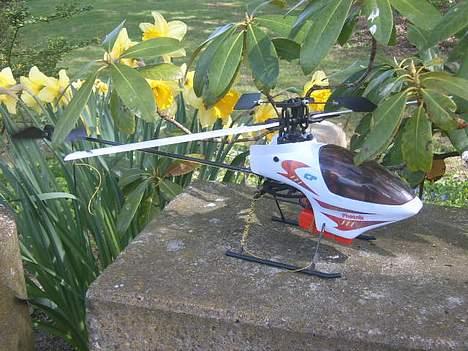 Helikopter Phoenix cp billede 20