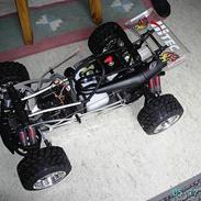 Buggy beetle FG pro