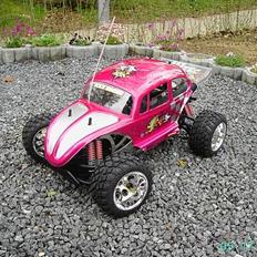 Buggy beetle FG pro