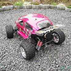 Buggy beetle FG pro
