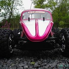 Buggy beetle FG pro
