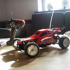 Buggy Baya king, tamiya