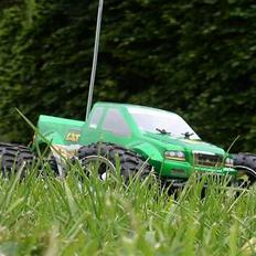 Off-Roader Team Losi Mini LST