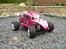 Buggy beetle FG pro