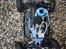 Buggy Xray XB8R