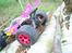 Buggy HBX Max Buggy