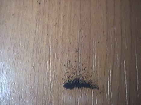 Bil Fakta bil billede 6