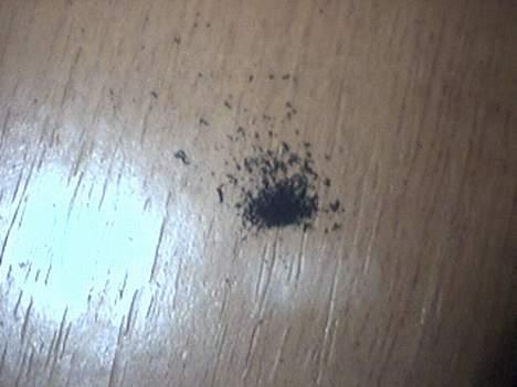 Bil Fakta bil billede 7