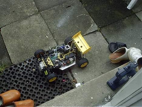 Buggy thunder tiger ssb billede 5