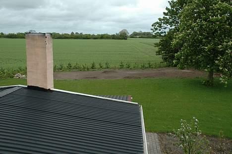 Truck Mammoth Monster truck - Et billede af banen fra loft vinduet billede 5