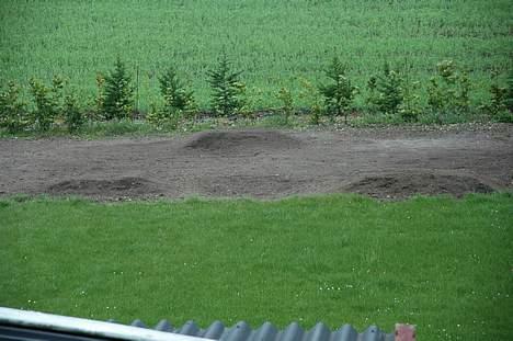 Truck Mammoth Monster truck billede 7