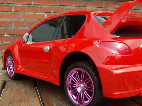 Bil 206 billede 7