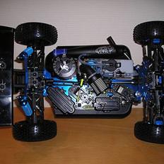 Buggy Rex-x (great vigor)