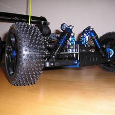 Buggy Rex-x (great vigor)