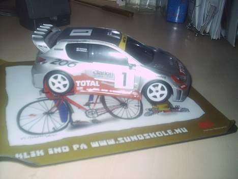 Bil RC Peugeot 206 WRC billede 1
