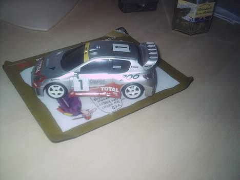 Bil RC Peugeot 206 WRC billede 3
