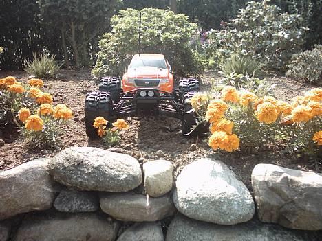 Truck Savage 25 billede 8