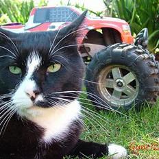 Off-Roader Savage 25 :o)