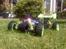 Buggy Atomic Warhead !!
