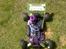 Buggy Atomic Warhead !!