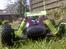 Buggy Atomic Warhead !!