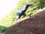 Buggy AE RC10B4 FT