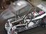 Buggy beetle FG pro