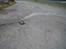 Off-Roader tamiya stadium thunder
