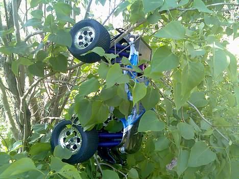 Off-Roader HPI Savage 25 LE [Solgt] billede 10