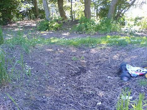 Buggy Fighter Buggy Tamiya billede 10