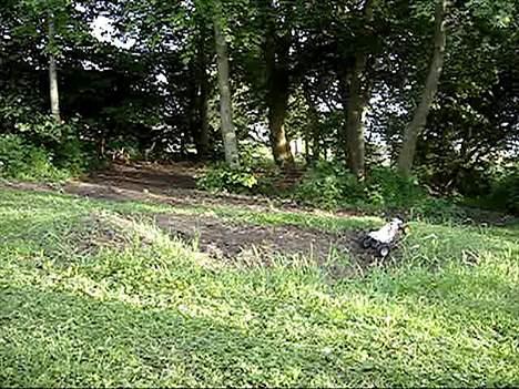 Buggy Fighter Buggy Tamiya billede 18