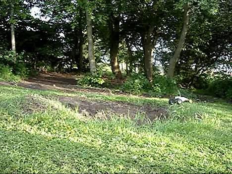 Buggy Fighter Buggy Tamiya billede 20