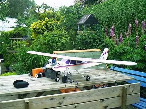 Fly Grauper billede 1