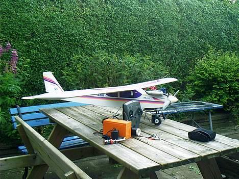 Fly Grauper billede 2