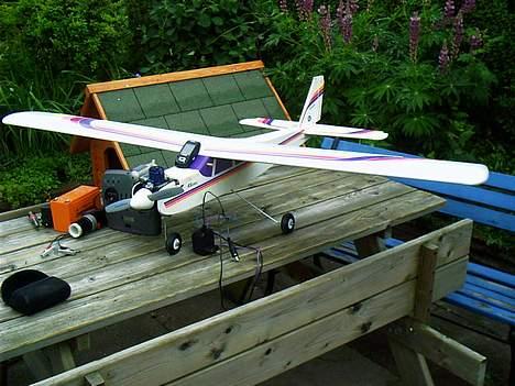 Fly Grauper billede 4