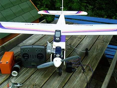 Fly Grauper billede 5