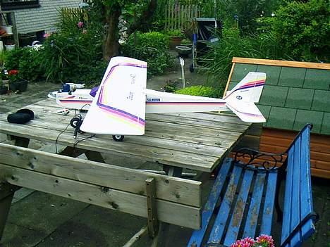 Fly Grauper billede 6