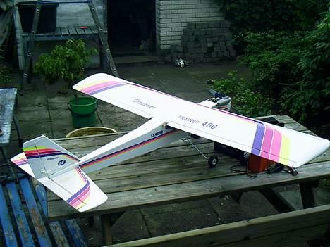 Fly Grauper billede 7