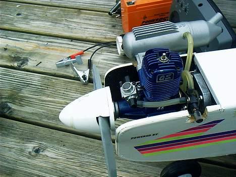 Fly Grauper billede 8