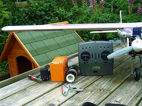 Fly Grauper billede 9