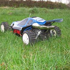 Buggy FG Leo. Competition 29ccm