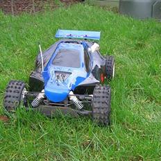 Buggy FG Leo. Competition 29ccm