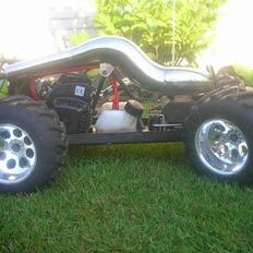 Bil fg  (monster beetle)