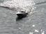 Båd EP Racing Boat