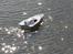 Båd EP Racing Boat